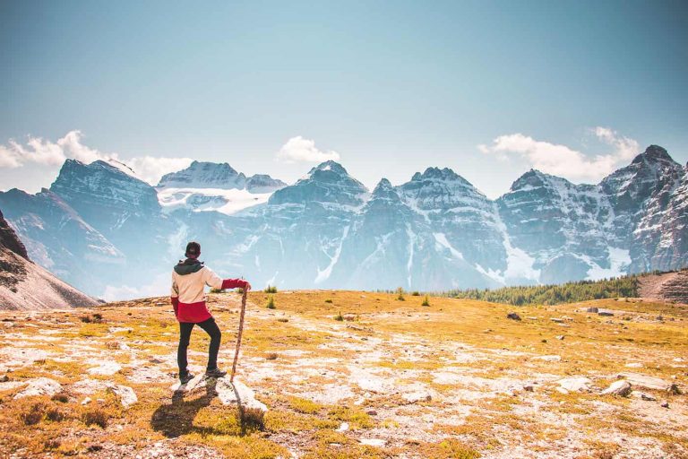 Buying Guides 2 Buying Guide 3 Buying Guide 3