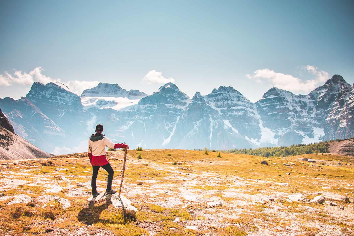 Buying Guides 2 Buying Guide 3 Buying Guide 3